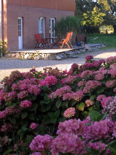 Hof Faasel - Bauernhofurlaub An Der Ostsee Grömitz Extérieur photo
